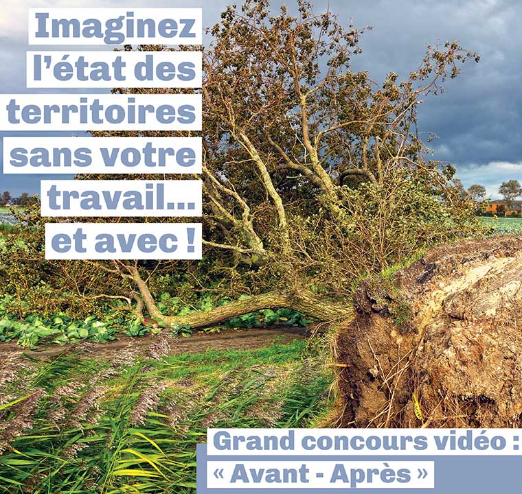 Concours vidéo Avant - Après